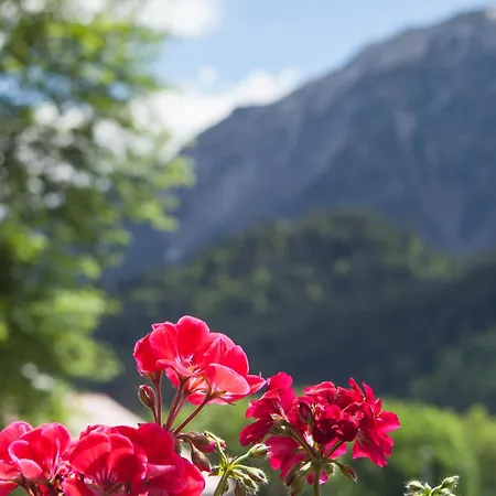 Gaestehaus Eberhart アパート *